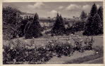 Der Rosengarten auf dem "Bingert" (1925/26 angelegt von dem 1921 gegründeten "Verein der Rosenfreunde") mit Blick auf das Rathaus.